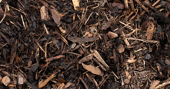 Mulch